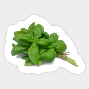 Basil Sticker